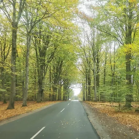 Luxury Retreat With Pool - By Traum * Henne Strand