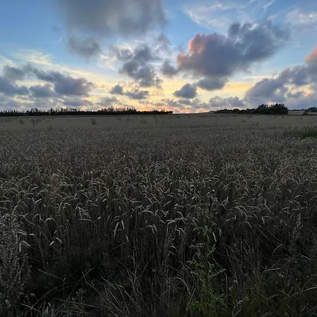 Vakantiehuis Luxury Retreat With Pool - By Traum Henne Strand